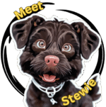 Meet Stewie